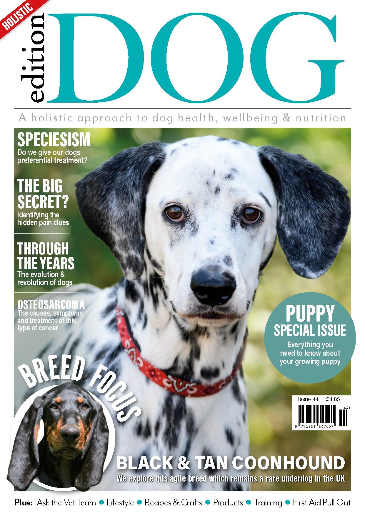 Issue 44